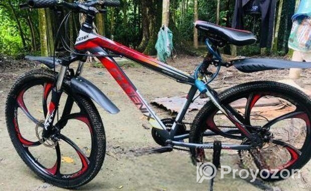 Phoenix Bicycle for sale