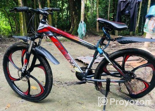 Phoenix Bicycle for sale
