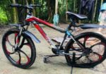 Phoenix Bicycle for sale
