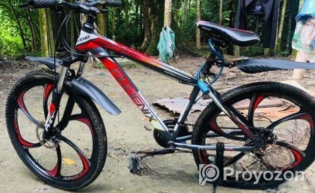 Phoenix Bicycle for sale