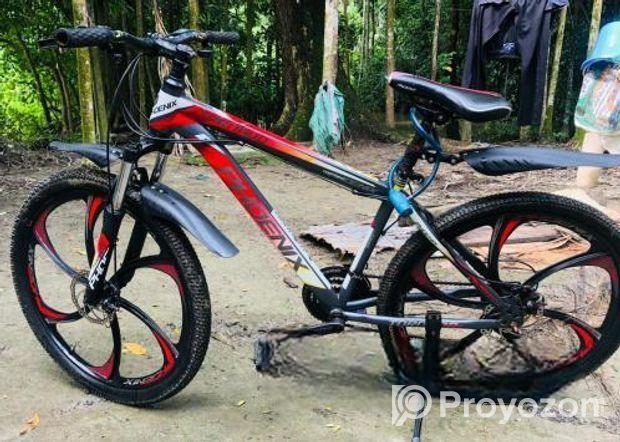 Phoenix Bicycle for sale