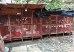 খুব ভালো দুইটি মুরগির খোপ