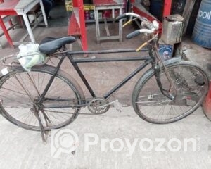 fitted-2025-07-30T100104.020_2025-07-30_10-01-24