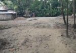 ১২ শতাংশ জমি বিক্রি করা হবে