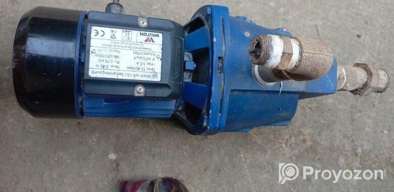 Walton 1 hp Motor