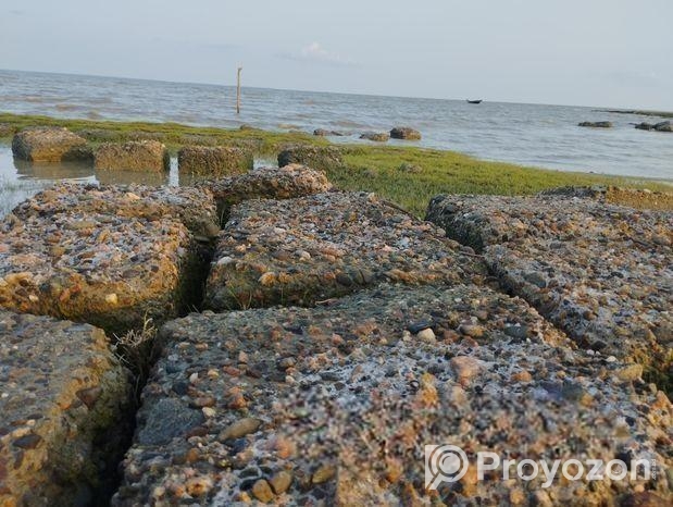 আরবি পড়াতে ইচ্ছুক