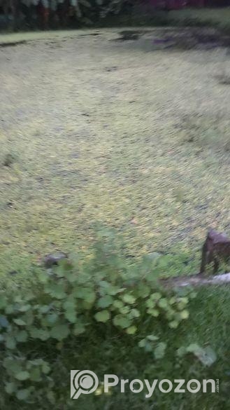 জমি বিক্রি করা হবে।