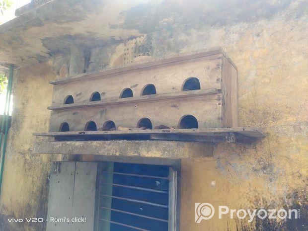 কবুতরের খোপ