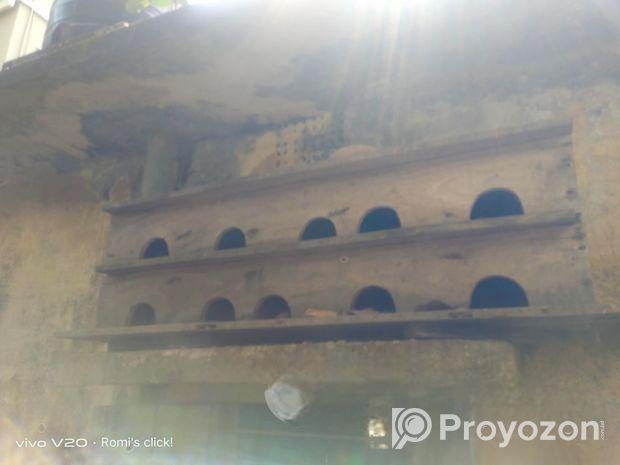 কবুতরের খোপ