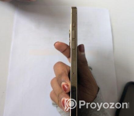 Apple iPhone 12 Pro Max 2020 (Used)