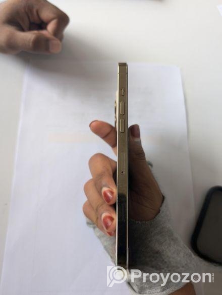 Apple iPhone 12 Pro Max 2020 (Used)