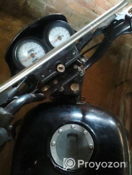 Walton Stylex 100 , 2019