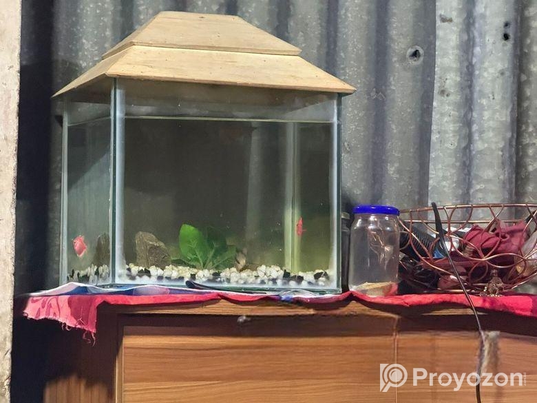 Aquarium For Sell