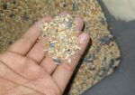 bazigar seed mix