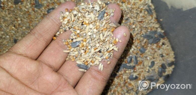 bazigar seed mix