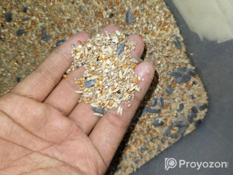bazigar seed mix