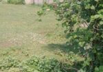Prime 23 Decimal Land for Sale in Shreepur, Noakha