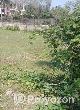 Prime 23 Decimal Land for Sale in Shreepur, Noakha