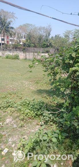 Prime 23 Decimal Land for Sale in Shreepur, Noakha