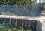 Prime 23 Decimal Land for Sale in Shreepur, Noakha