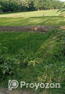 ১১০ ডেসিমেল জমি বিক্রয় কালো রাস্তার পাশে