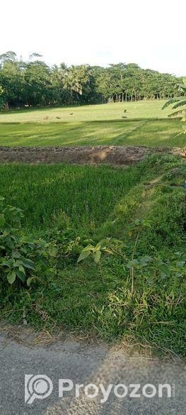 ১১০ ডেসিমেল জমি বিক্রয় কালো রাস্তার পাশে