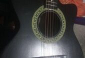 Moon Stan Guitar