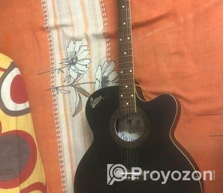 Signature Guiter