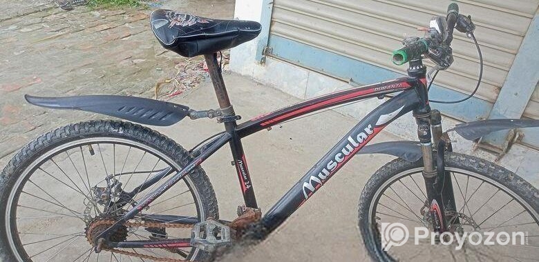 Bicycle for sell
