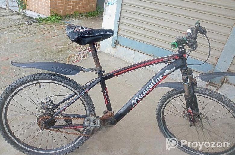 Bicycle for sell
