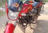 Zaara 100 . 2019