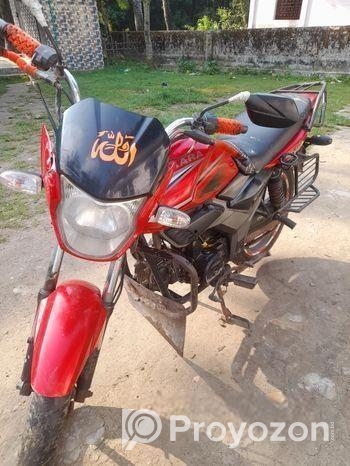 Zaara 100 . 2019