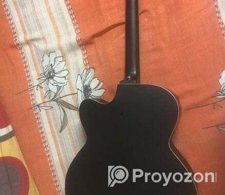Signature Guiter