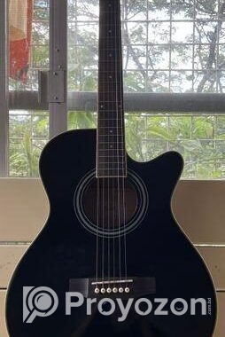 Acoustic TGM Gitter