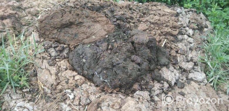 গোবর বিক্রি করা হবে