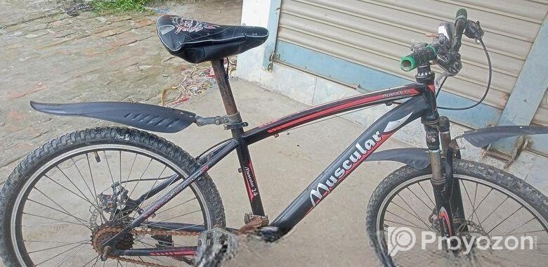 Bicycle for sell