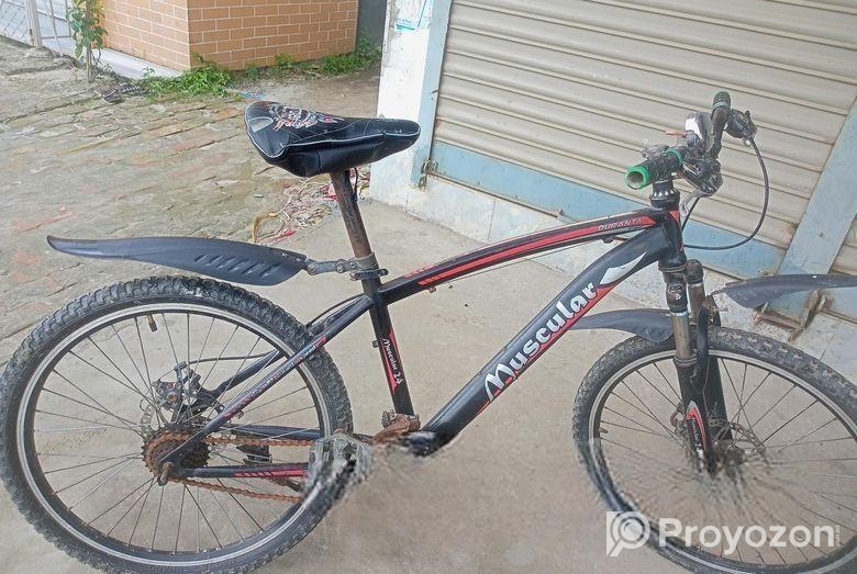 Bicycle for sell