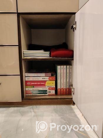Large Closet with hydrolic doors and drawers
