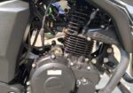 Yamaha FZS Fi D/D 2023
