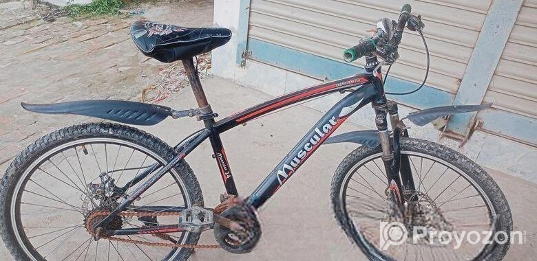 Bicycle for sell
