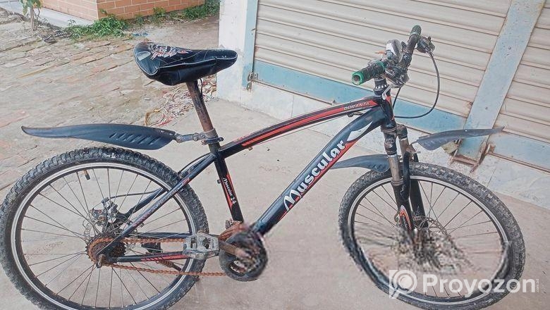 Bicycle for sell