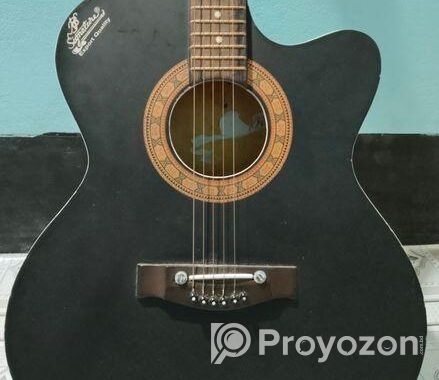 Guiter for sell