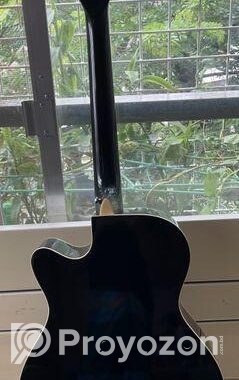 Acoustic TGM Gitter