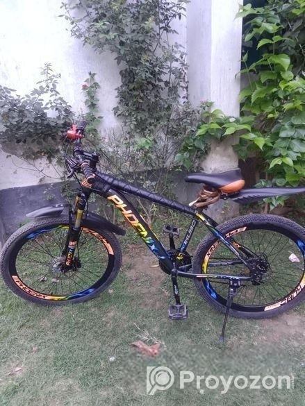 ফনিক্স সাইকেল