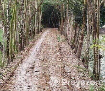 মাদারীপুরের ডাসার বাড়ি বিক্রি।