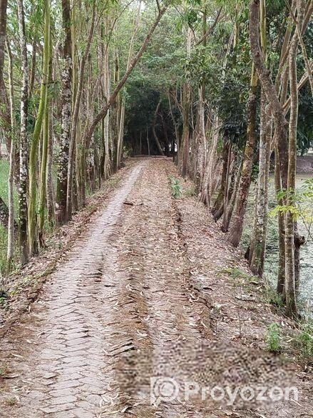 মাদারীপুরের ডাসার বাড়ি বিক্রি।