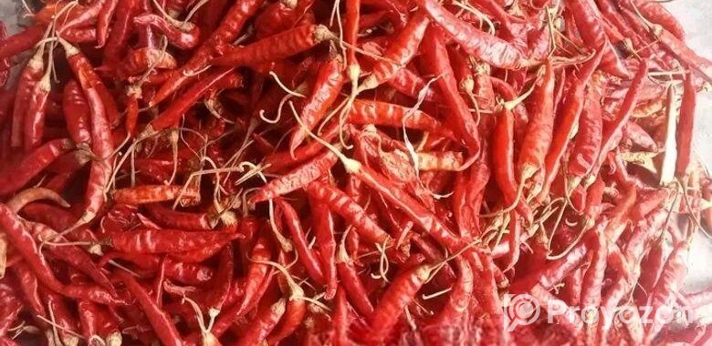 শুকনো মরিচ