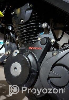 Honda Hornet . 2019