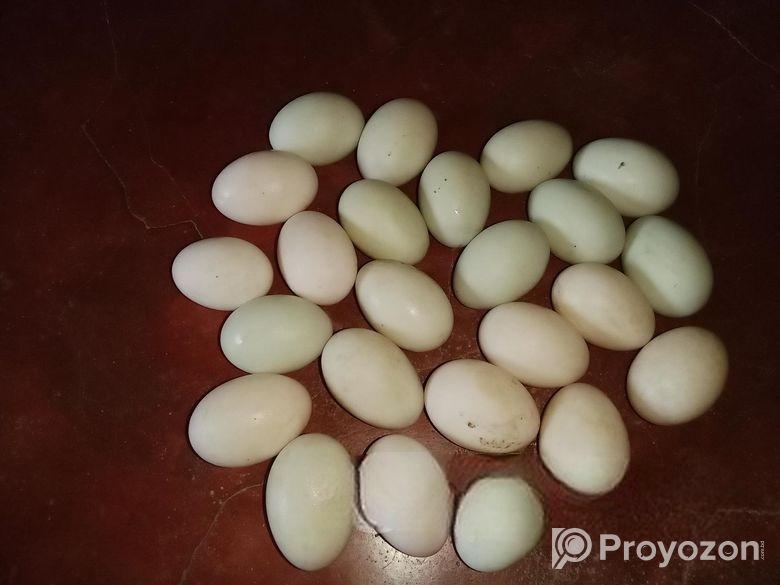 দেশি হাঁসের ডিম