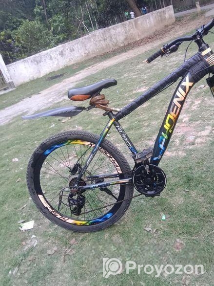 ফনিক্স সাইকেল